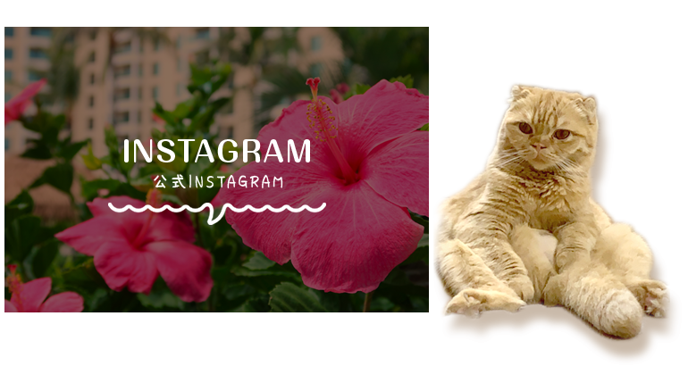 pc_insta